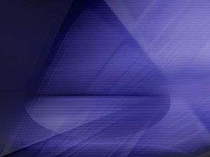 宠物空调房注意事项，避免着凉方法